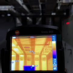 WhatsApp Image 2020-04-19 at 17.08.49